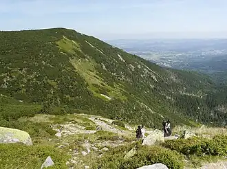 Blick aus Richtung der Bergbaude Schronisko Dom Śląski (Schlesierhaus) nordwärts zur Kleinen Koppe