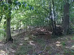 Kernburgplateau. Mauerrest (Geländewulst) im Süden