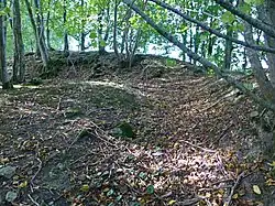 Kernburgplateau. Mauerrest (Geländewulst) im Westen