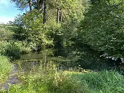 Straßweger Bach speist Teich bei Kotthausen