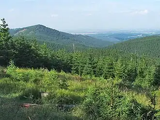 Der Berg Kowadło im Reichensteiner Gebirge