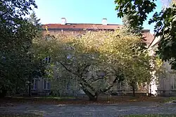 Blick vom heute öffentlichen Park auf die Rückseite des Palastes