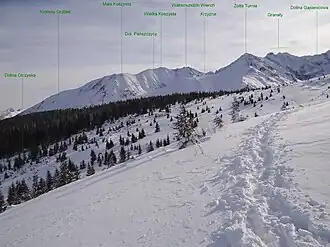 Blick von der Alm Hala Królowa