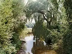 Der Oberlauf im Krückaupark