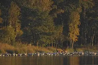 Herbst am Rederangsee