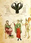 Allegorische Szene mit Homer, einem Arzt und Gott Mercurius (von links). Die obige Pflanze ist als „Immolum“ (Moly) bezeichnet (fol. 61 v)