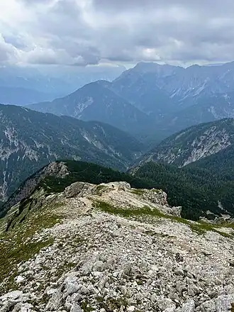 Latschenbewachsenes Kreuzjöchl (links der Bildmitte) im Südgrat des Geierköpfe Westgipfels