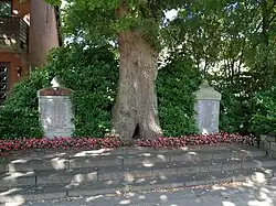 Kriegerdenkmal Groß Wittensee