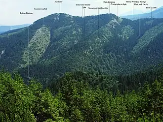 Im Vordergrund, Blick von der Sarnia Skała