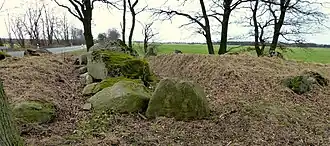 Großsteingrab Kruckow 1
