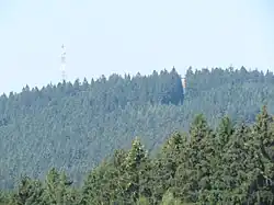 Die Bäume überragen den Turm in einer Schneise
