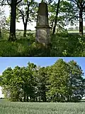 Gedenkstein an Kurfürst Friedrich der Weise von Sachsen, Kleine Waldinsel im Feld, nördlich des Waldes Nachthainigte