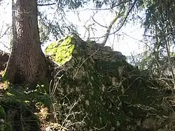 Burg Löwenstein (Ilanz)