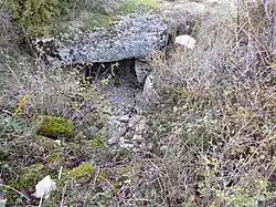 Dolmen du Genévrier