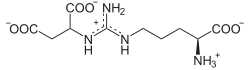 Argininosuccinat