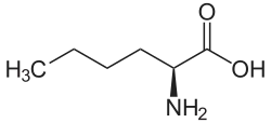 L-Norleucin