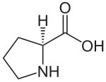 Proteinogene Aminosäure: L-Prolin