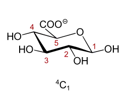 Konformation der β-ᴅ-Glucuronsäure (β-ᴅ-GlcA)