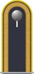 Dienstgradabzeichen auf der Schulterklappe der Jacke des Dienstanzuges für Luftwaffenuniformträger.