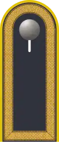 Dienstgradabzeichen auf der Schulterklappe der Jacke des Dienstanzuges für Luftwaffenuniformträger.