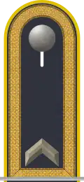 Dienstgradabzeichen auf der Schulterklappe der Jacke des Dienstanzuges für Luftwaffenuniformträger.