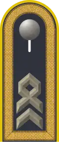 Dienstgradabzeichen auf der Schulterklappe der Jacke des Dienstanzuges für Luftwaffenuniformträger.