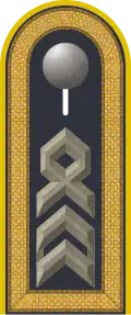 Dienstgradabzeichen auf der Schulterklappe der Jacke des Dienstanzuges für Luftwaffenuniformträger.