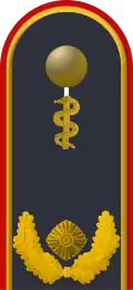 Dienstgradabzeichen auf der Schulterklappe der Jacke des Dienstanzuges für Luftwaffenuniformträger (Humanmedizin).