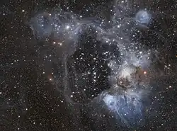 Gesamtansicht von N44