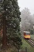 Turmbergbahn bei Nebel (2024)