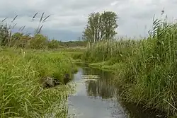 Tegeler Fließ im Landschaftsschutz­gebiet Tegeler Fließ nördlich der Lübarser Felder