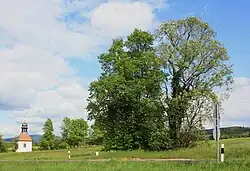 Standort der ursprünglichen Wegekapelle (vorne; Bäume) mit Siebenschläferkapelle (hinten)