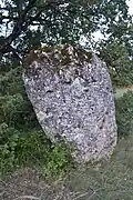 Menhir La Cavalerie