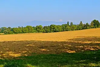 Das Tournay-Land (Flur), ehemaliges Ackerland der Herren von Tournay