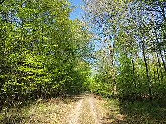 Unmarkierter Gipfelbereich des Dreihufeisenberges