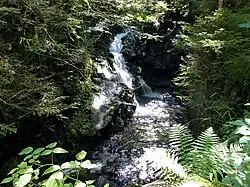 Wasserfall der Laberlaine.