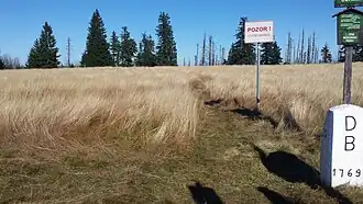 Gipfelplateau samt Grenzstein