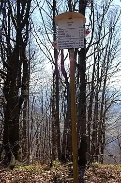 Der Gipfel der Lackowa