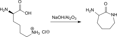 Lactamisierung von L-Lysin