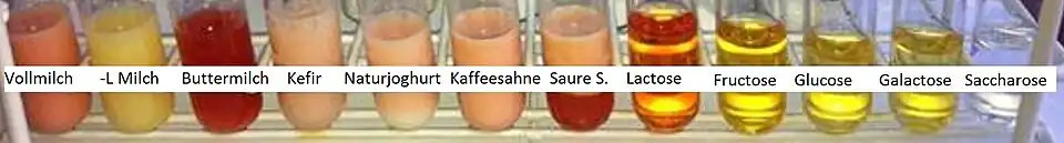 Je nach Lactosegehalt der Milchprodukte ergibt die Reaktion einen mehr oder weniger starken Rotton. Buttermilch wird dunkelrot. In Kefir und Joghurt wurde Lactose durch Mikroorganismen abgebaut, daher erscheinen sie weniger rot als Vollmilch. Lactosefreie Milch erscheint gelb, ebenso wie Lösungen von Fructose, Glucose, Galactose. Reine Lactoselösung erscheint lachsrot, Saccharoselösung bleibt farblos.