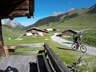 Ladizalm, Falkengruppe im Hintergrund