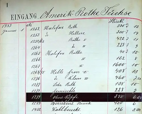 No. 1279: 380 Stück „Amerik. Rothe Füchse“, „ohne Köpfe“, also ohne die Spitzenqualität, Stück 6,50&nbsp;Mark