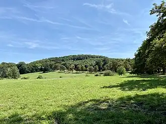Blick von der Dianawiese auf den Bärenberg