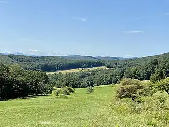 Blick von der Kaltbründlwiese auf den Laaber Kaiserzipf
