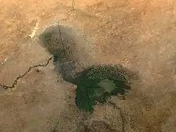 Nigrischer Teil des Tschadsees