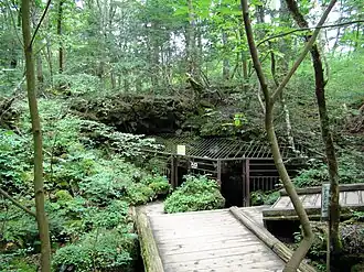 Eingang zur Fledermaushöhle