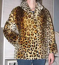 Leopardbedruckte Jacke (1955)