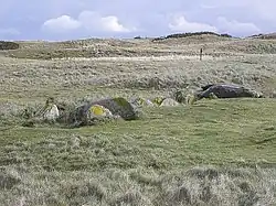 Allée couverte von Ribl