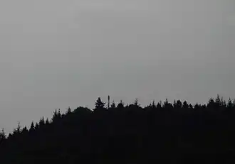 Gipfel des Lammersbrink, Ansicht von Nordwesten