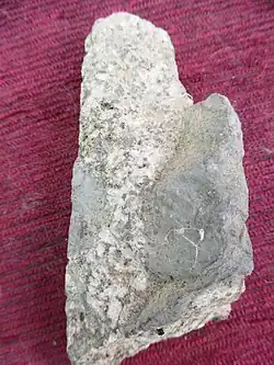 Lamprophyrgang im Kontakt mit dem grobkörnigen Granodiorit, Steinbruch von Piégut